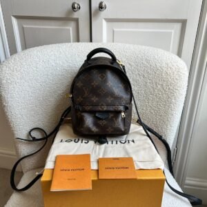 Louis Vuitton Palm Springs Mini Backpack