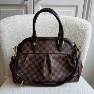 Vuitton Trevi PM Damier Ebene