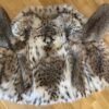 Vintage Custom Made Cat lynx Fur Jacket with Hook and Loop Closures Size Small