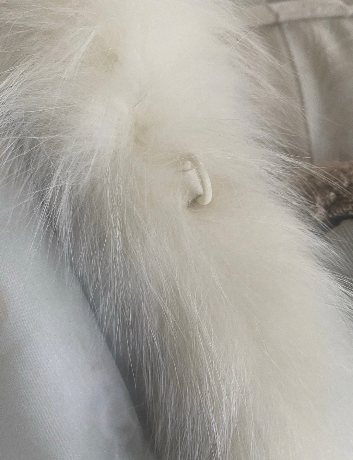 Winter White Full Length Female Mink Coat/Fox Tux Front And Sleeves /W Mink Hat - Image 4